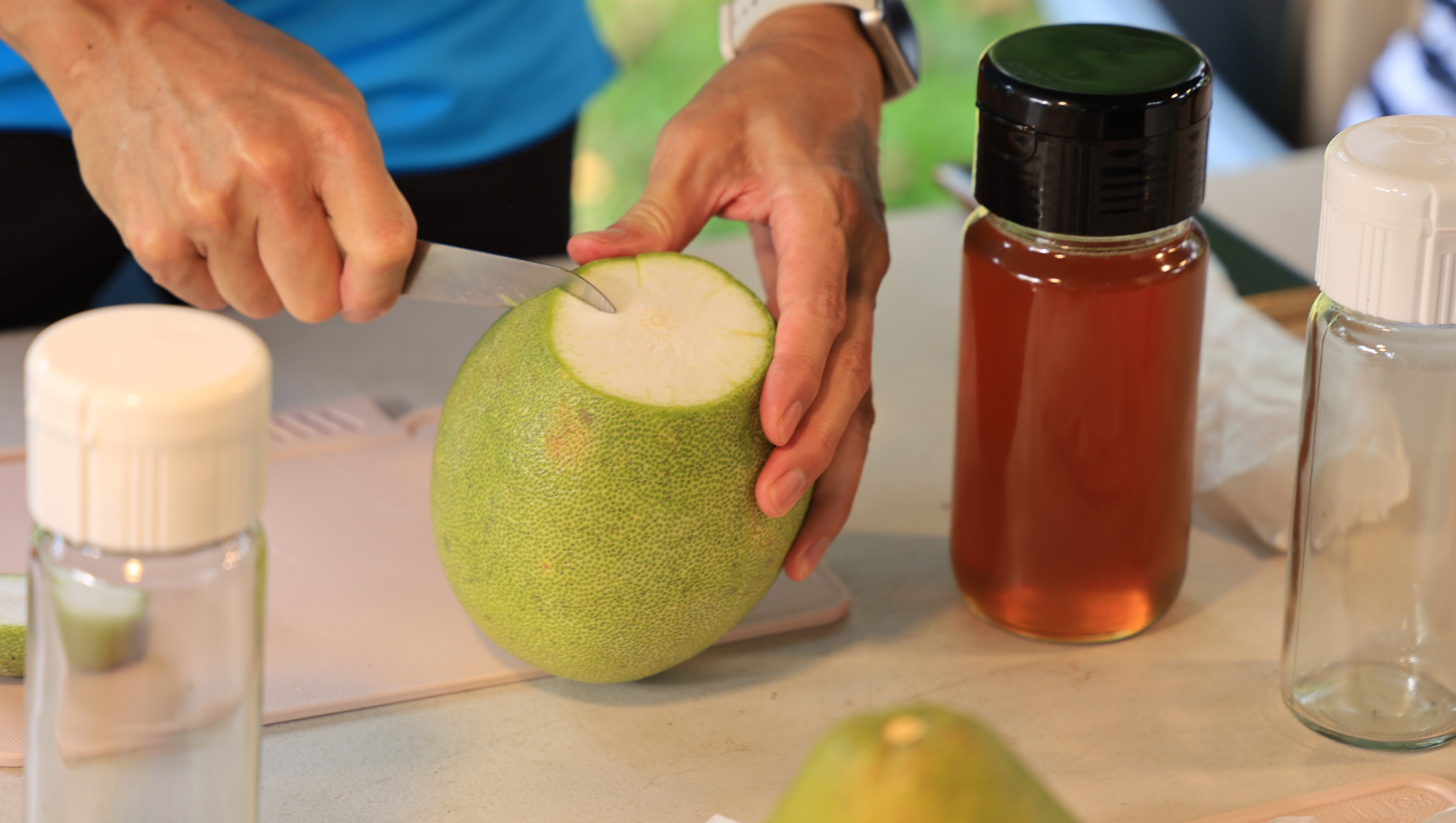 農村FUN假趣-苗栗農遊柚香村