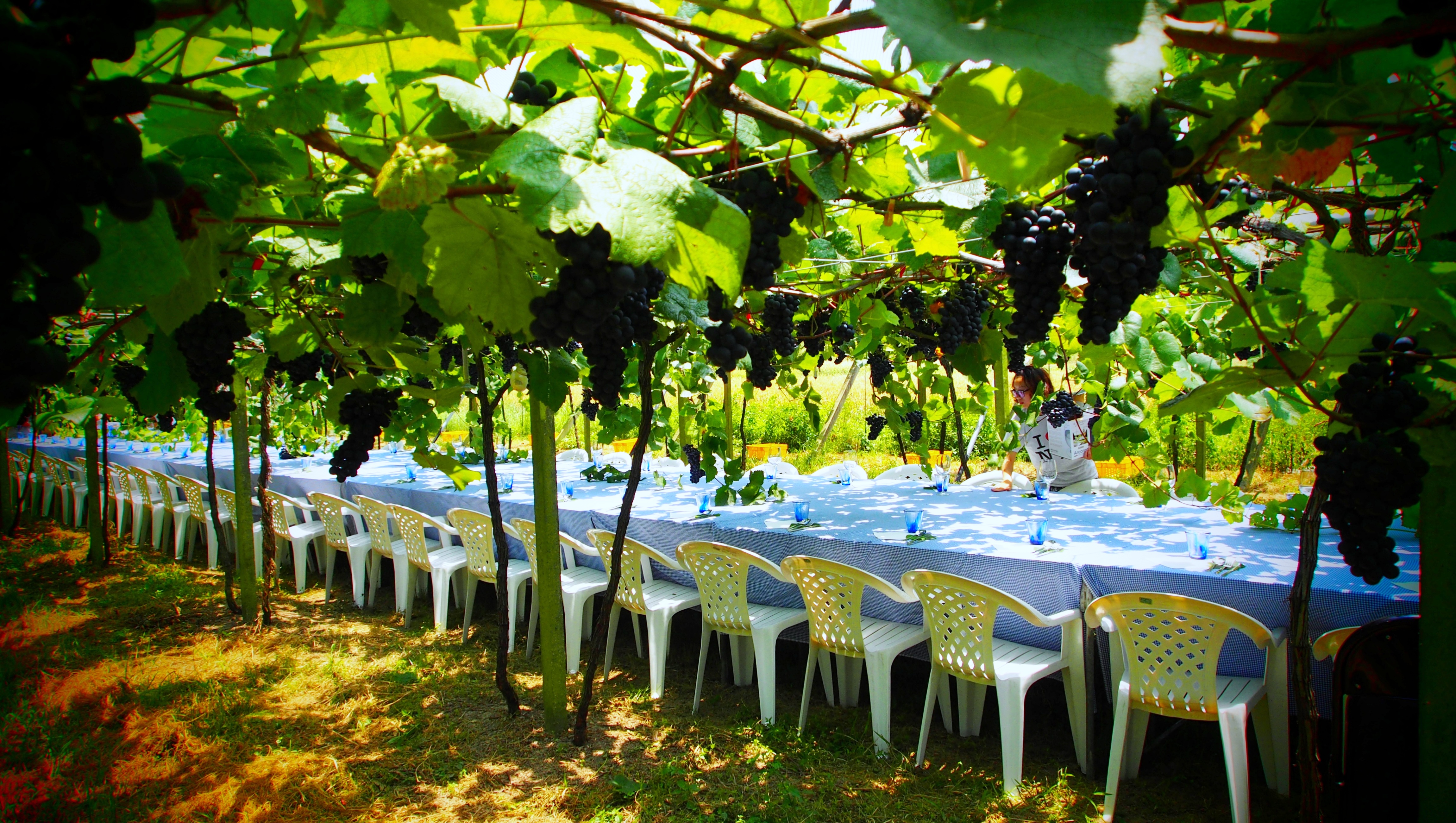 農村FUN假趣-尋味酒香農遊趣